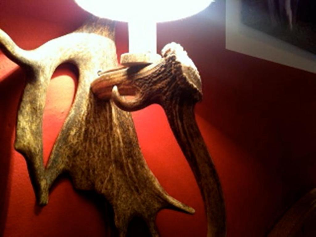 ホテル ガムソフ キッツビュール 部屋 写真